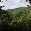 09 b Schluchensteig Etappe 4 - 6